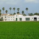 Casa rural aislada en campo en Tarragona