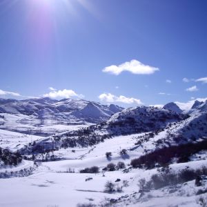 Foto La Terraza del Valle